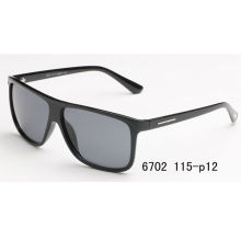 polar one sunglasses eyewear(6702)